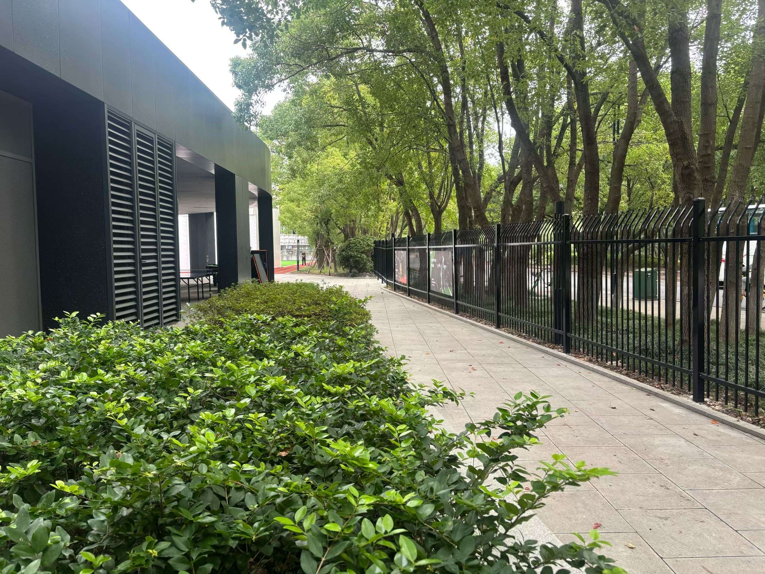 上海常青藤学校融合课程部校园环境